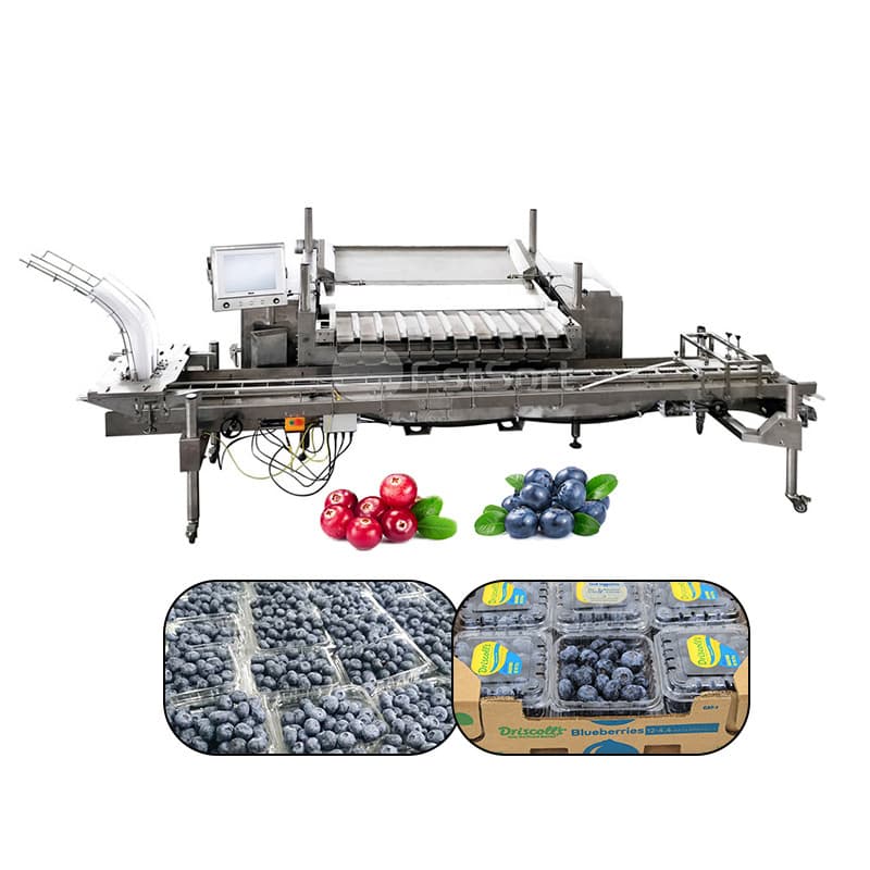 images/1767750790577Zhengzhou-First-Industry-Co-Ltd- (1).jpg